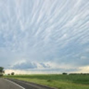 Meet your Posher, Randie